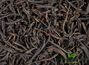 Willow-herb / Ivan-Chay, black, large leaf, the Novgorod region