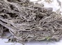 Sagebrush HQ (Artemísia absínthium)