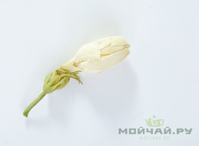 Жасмина цветы сушёные (Моли Хуа), 2022