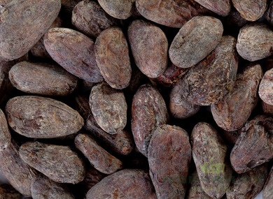 Какао-бобы ферментированныеDominicana Hispaniol Organic