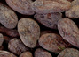 Какао-бобы ферментированные,Dominicana Hispaniol Organic