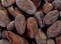 Какао-бобы ферментированные, Папуа-Новая Гвинея