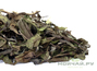 You Ji Shou Mei (organic tea "Longevity Eyebrow" from Fuding)