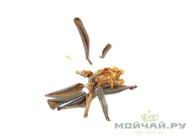 Саган-Дайля (Рододендрон Адамса, сагаан дали, сайган-дайля), 2023