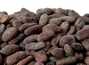 Cocoa beans, fermented, Sur Del Lago (fried)