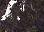 Шэн Пуэр С Малых Чайных Деревьев Горы Наньно (Moychay.ru), 100 г