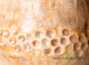 Сосуд для питья мате (калебас) # 25652, керамика