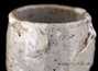 Cup # 29527, wood firing/ceramic, 98 ml.