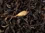 Краснодарский красный чай из Хосты органический урожай 2021