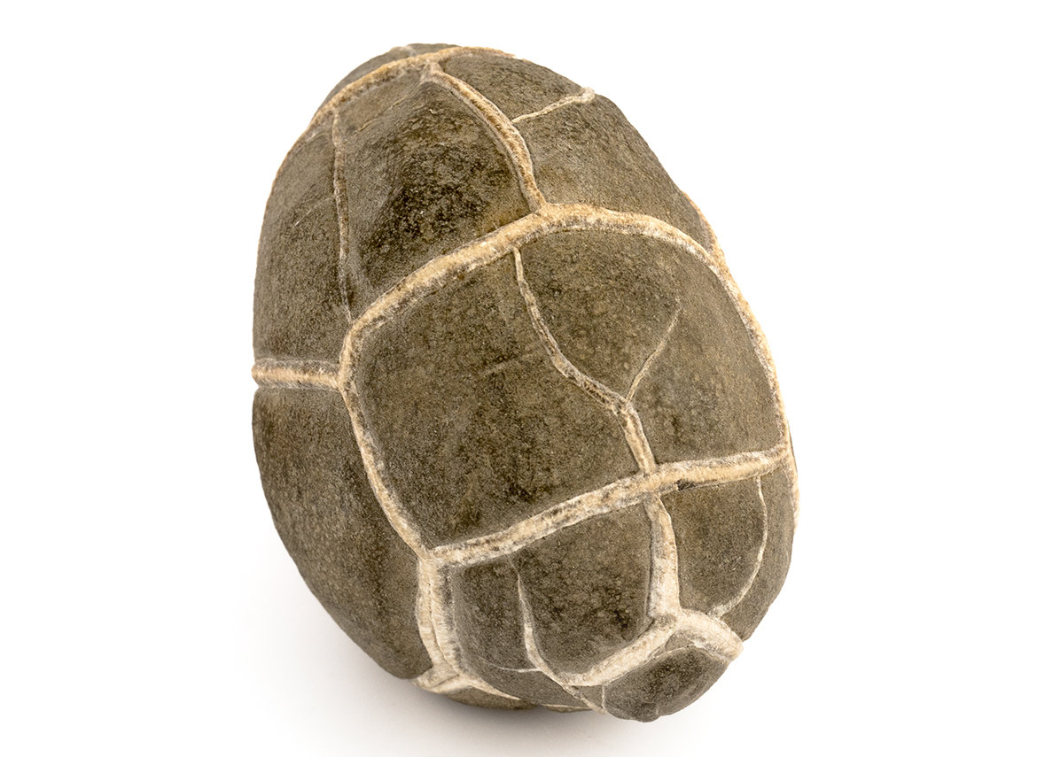 Decorative fossil # 30991, stone, septaries