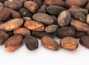 Какао-бобы ферментированные Венесуэла Рио Карибе