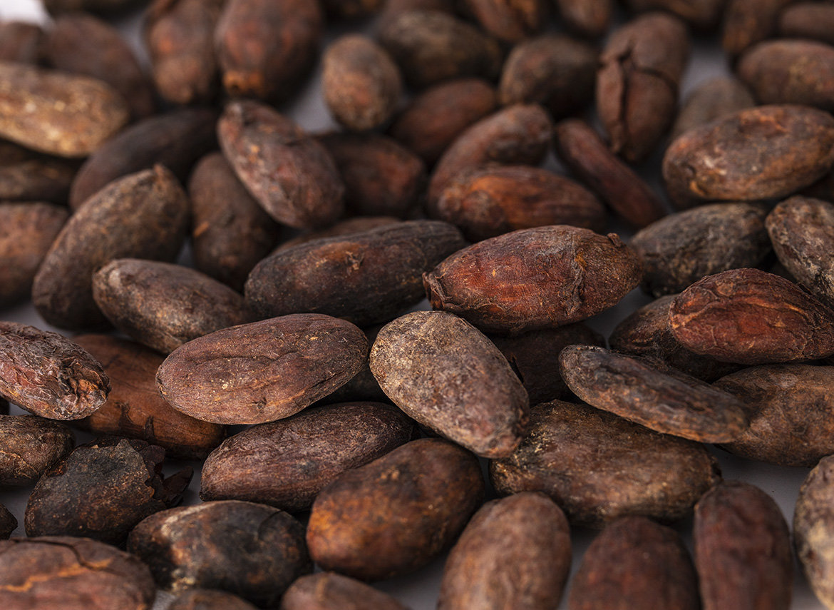 Cocoa beans, fermented, Peru