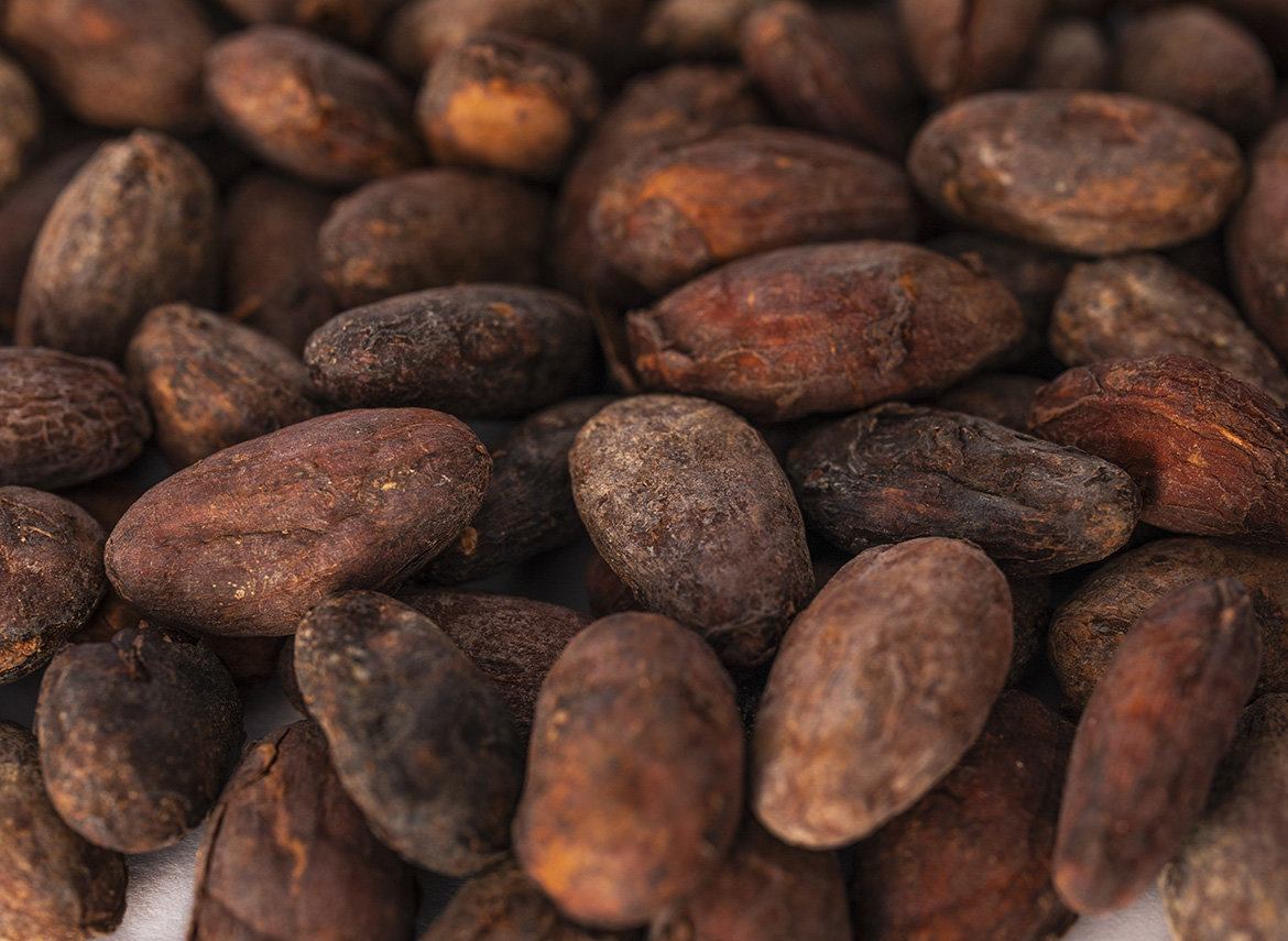 Cocoa beans, fermented, Peru
