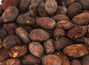 Какао-бобы ферментированные, Индонезия Ява Лайт
