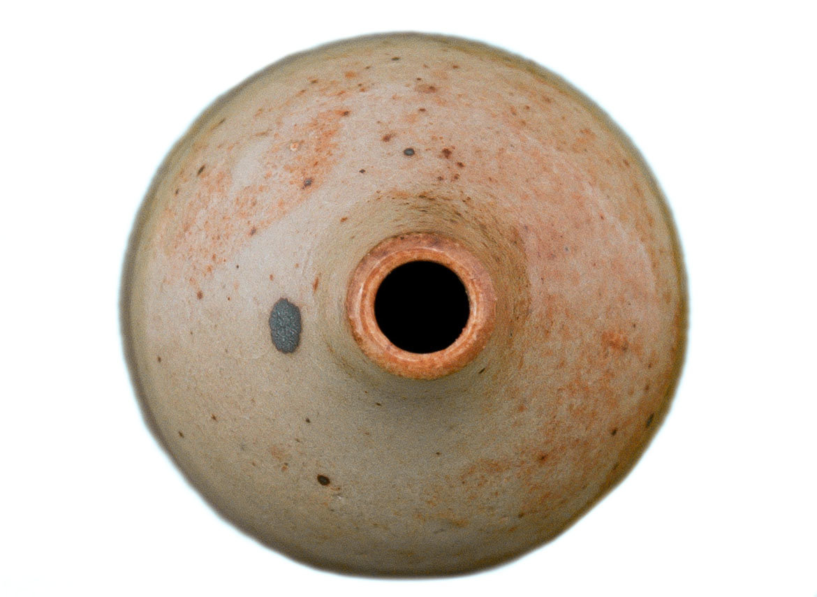 Vase # 33713, wood firing/ceramic
