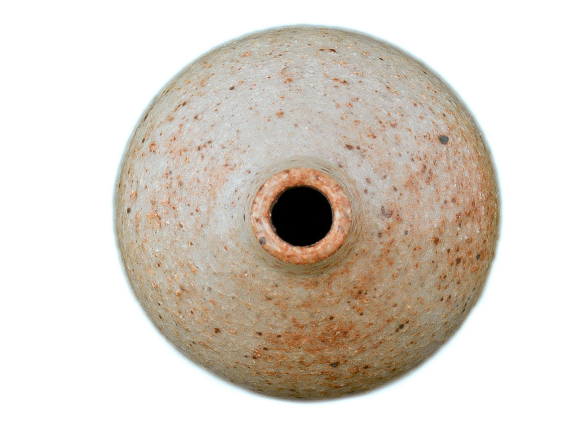 Vase # 34157, wood firing/ceramic
