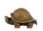 Tea Pet # 34228, turtle, bronze