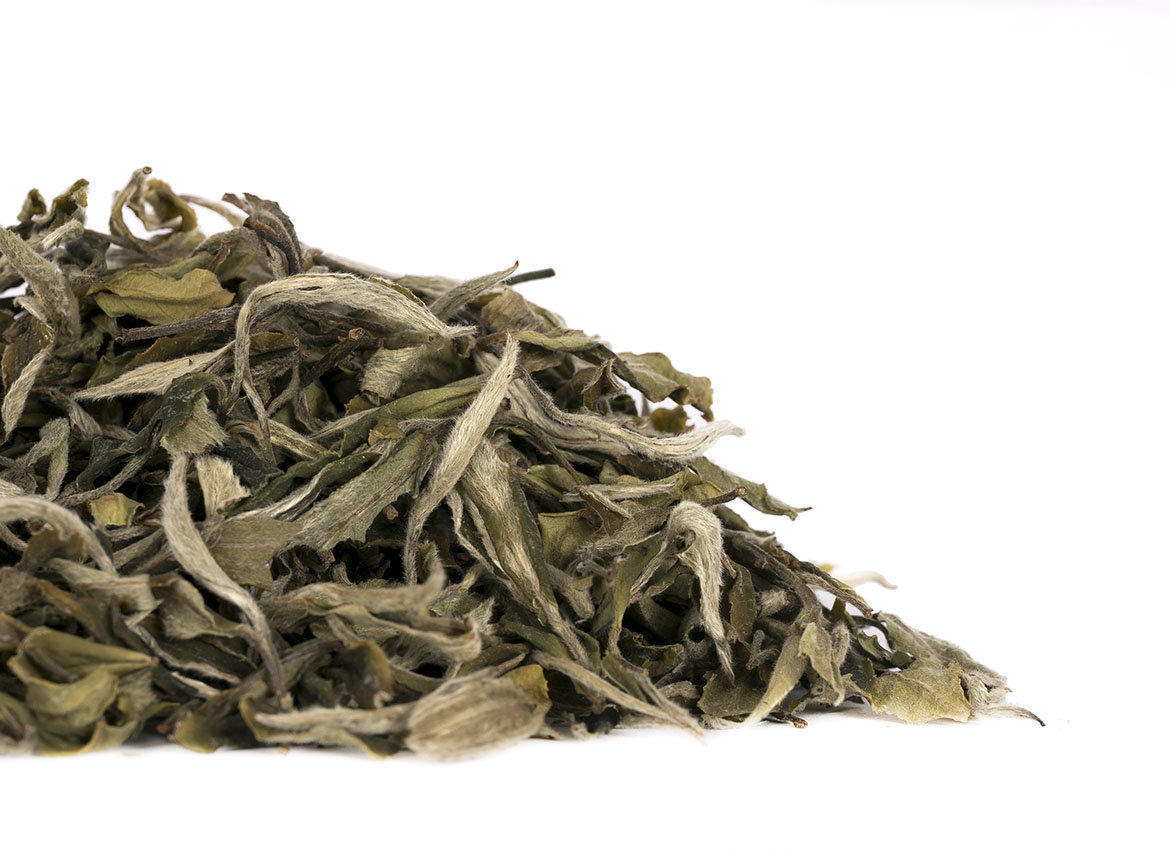 Gaba White Tea from the alpine gardens of Yongde County