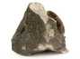 Декоративная окаменелость # 36972 камень аммонит