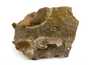 Декоративная окаменелость # 36978 камень аммонит