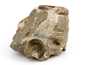 Декоративная окаменелость # 36995 камень аммонит