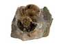 Decorative fossil # 37006, stone, ammonite