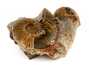 Декоративная окаменелость # 37010 камень аммонит