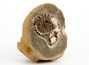 Декоративная окаменелость # 37013 камень аммонит