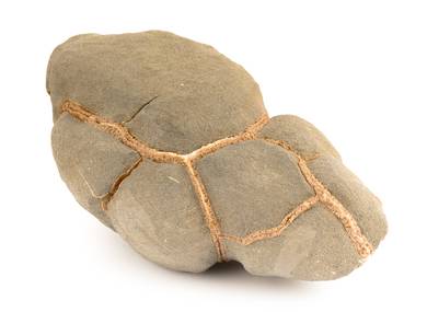 Декоративная окаменелость # 37017 камень септарии