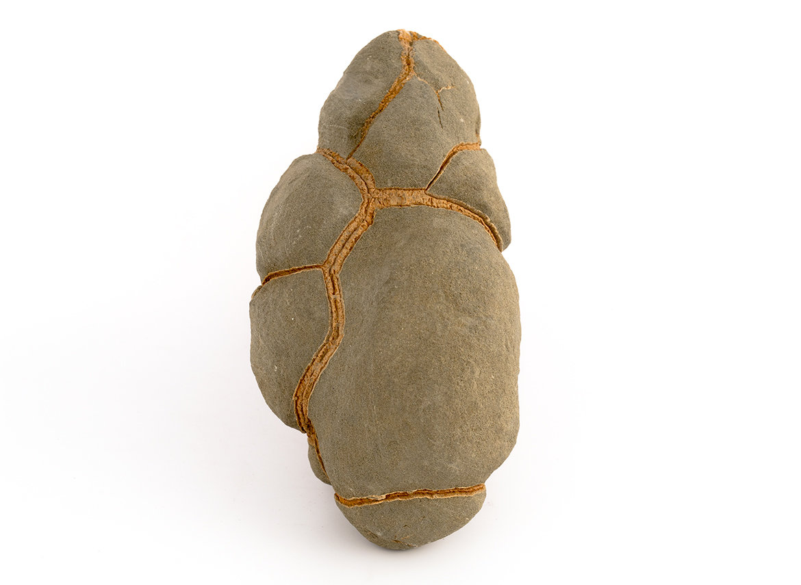 Декоративная окаменелость # 37017, камень, септарии