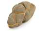 Декоративная окаменелость # 37017 камень септарии