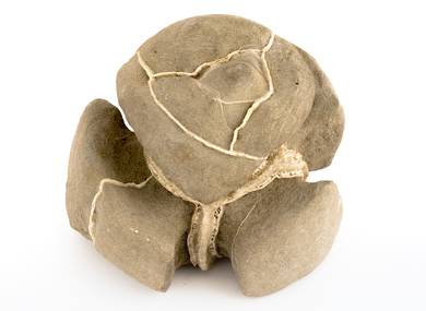 Декоративная окаменелость # 37018 камень септарии