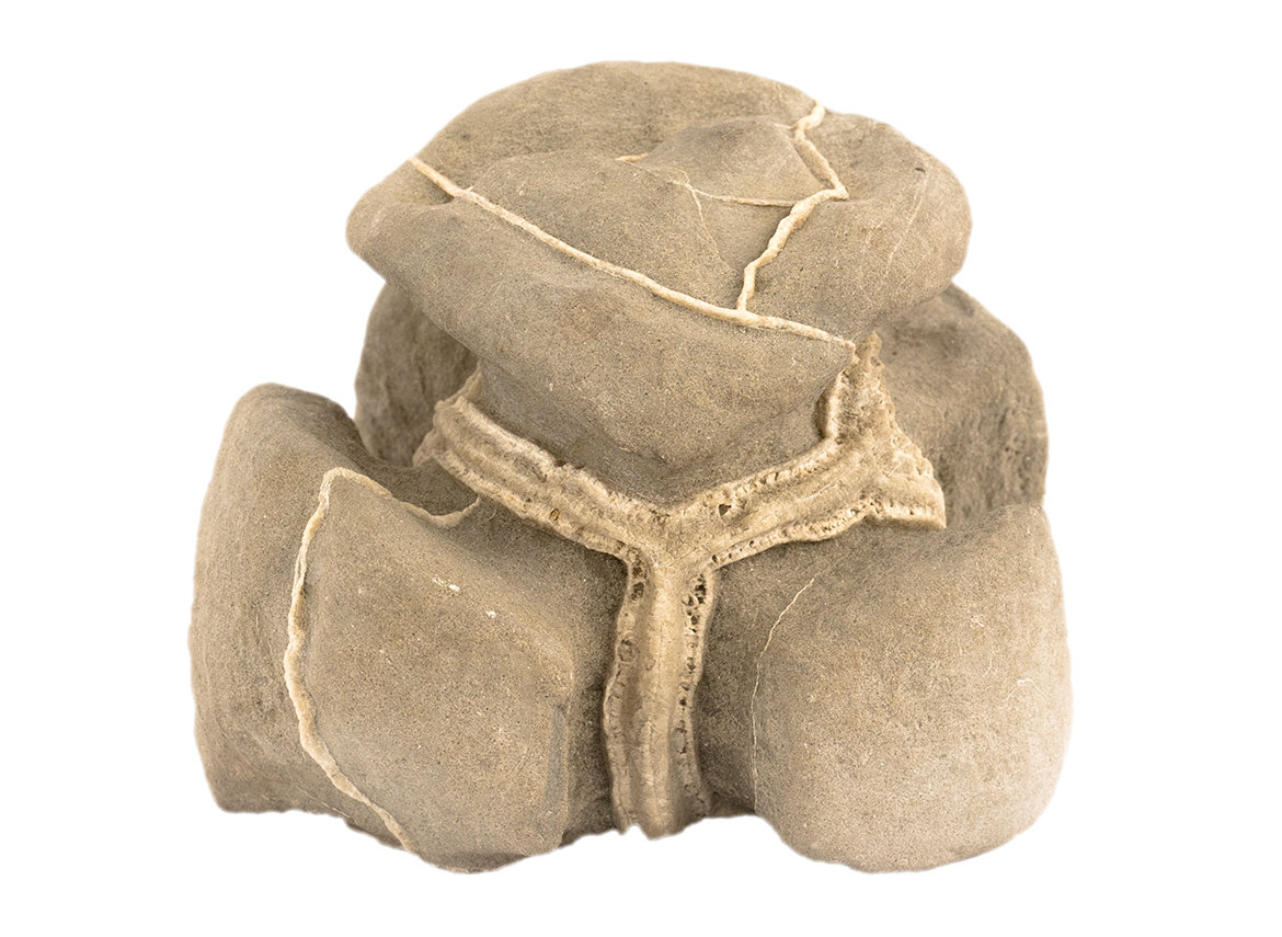 Декоративная окаменелость # 37018, камень, септарии