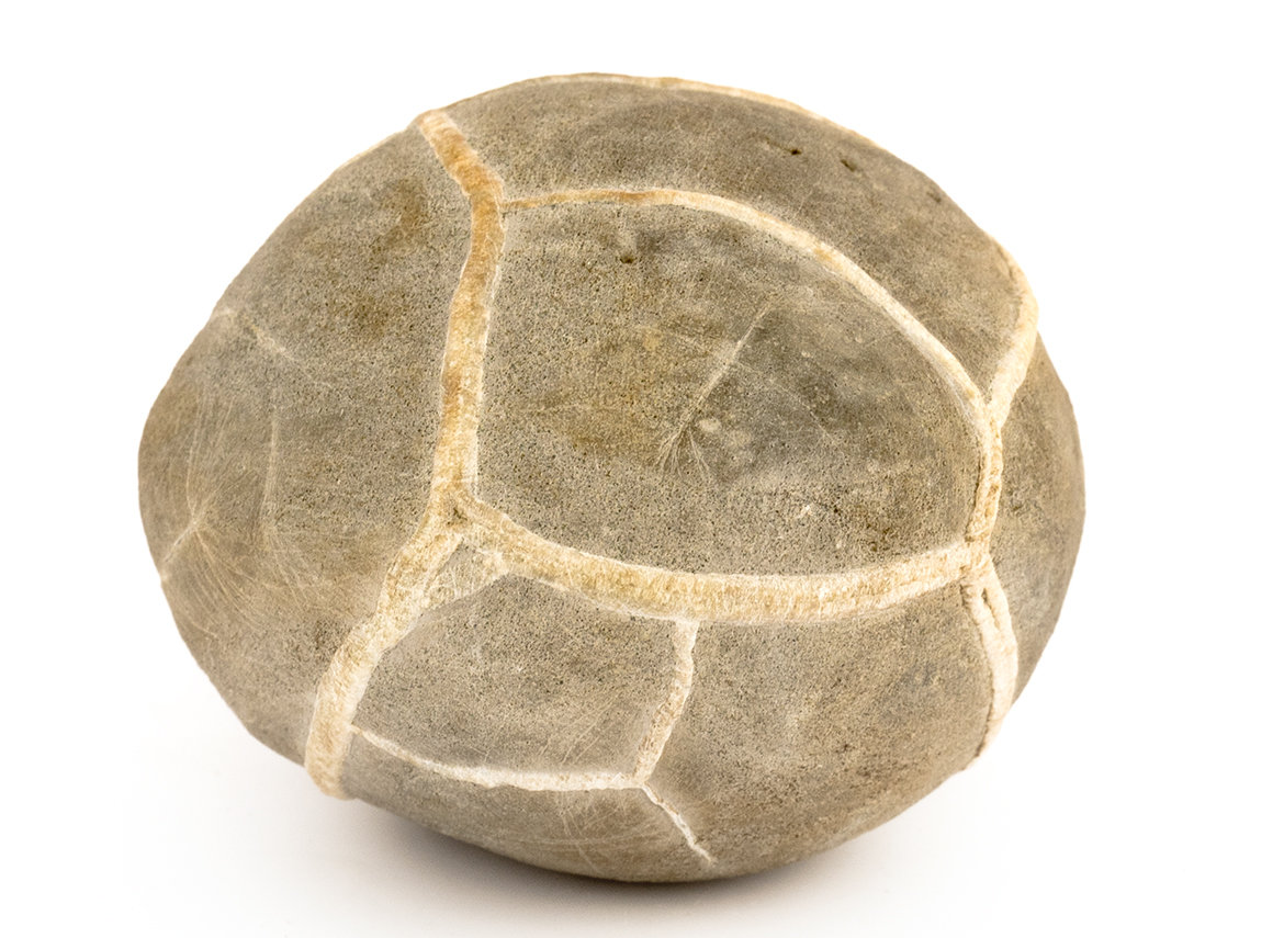 Декоративная окаменелость # 37021, камень, септарии
