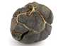 Декоративная окаменелость # 37024 камень септарии