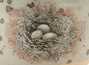 Пиала ручная работа Мойчай # 42963, Художественный образ "Гнездо", дровяной обжиг/керамика/ручная роспись, 67 мл.