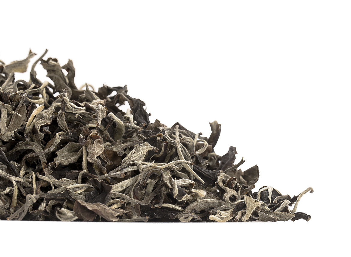 Белый чай с диких чайных деревьев, Мойчай Tea Forest Project, Таиланд, осень 2022 (bunch AU01-limited 5.4 kg)