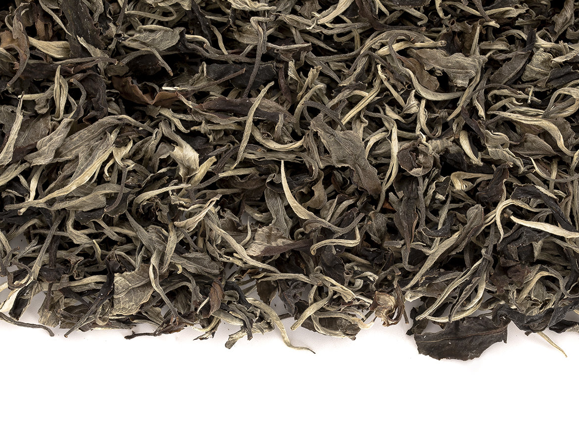 Белый чай с диких чайных деревьев, Мойчай Tea Forest Project, Таиланд, осень 2022 (bunch AU01-limited 5.4 kg)