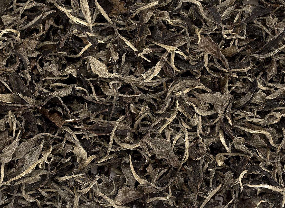White Tea from Wild Tea Trees, Moychay Tea Forest Project, Thailand, autumn 2022 (bunch AU01-limited 5.4 kg) 