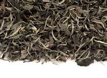 Белый чай с диких чайных деревьев Мойчай Tea Forest Project Таиланд осень 2022 bunch AU01-limited 54 kg