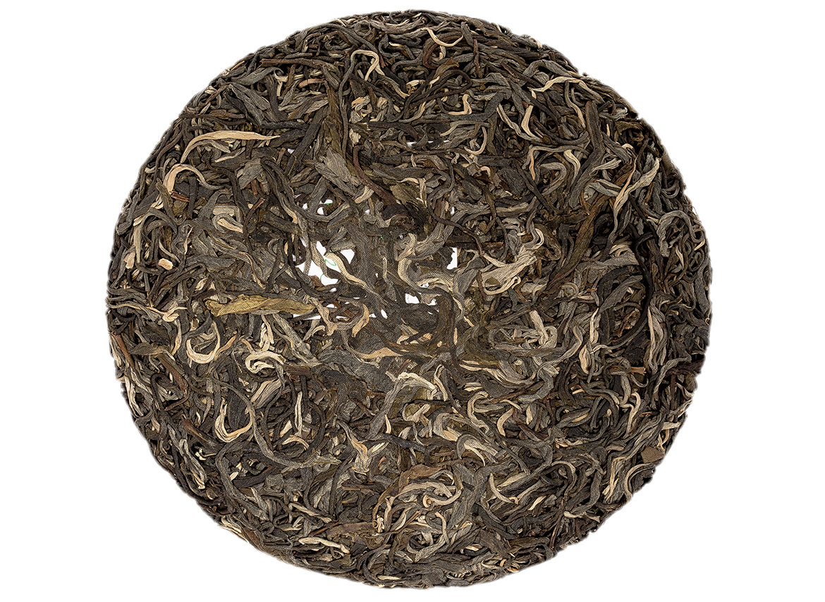 Thai Sheng Puer, wild-growing trees. Moychay Tea Forest Project, batch04-2022 (limited 108 pieces), 357 g