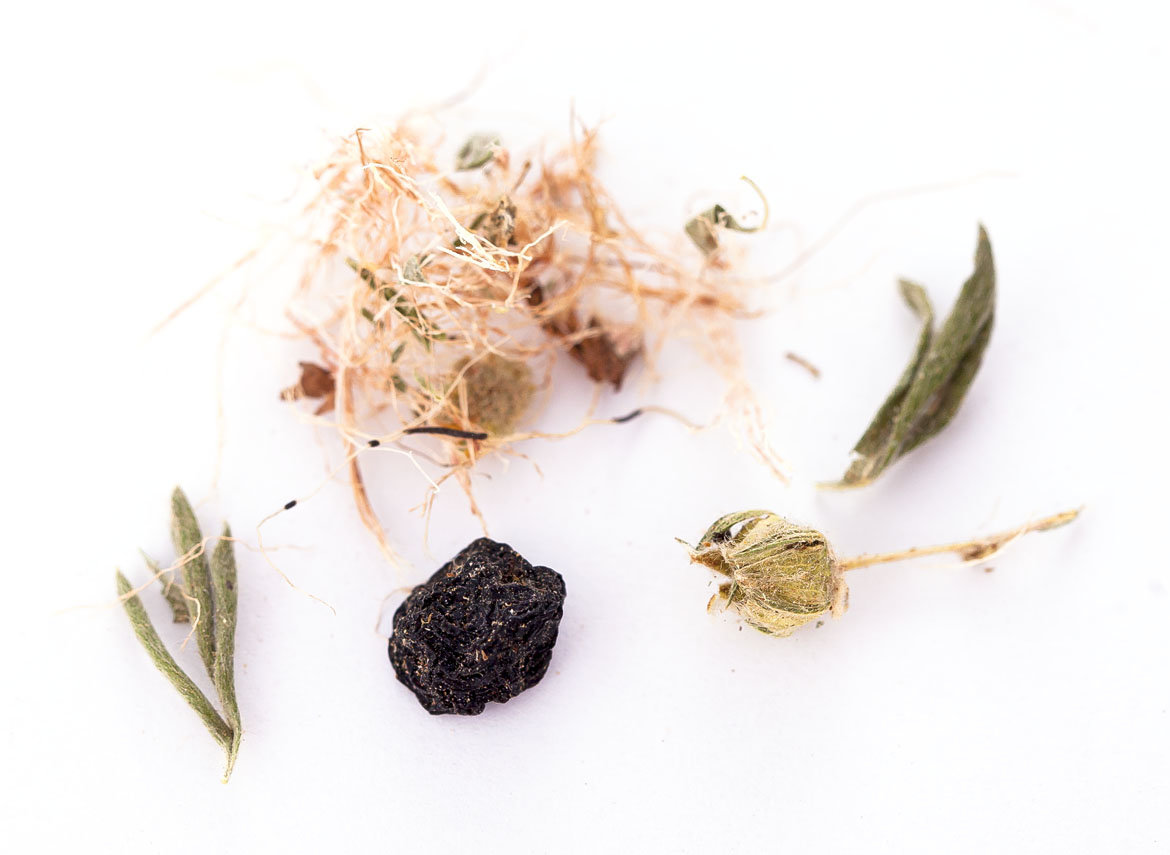 Herbal tea “Autumn in Taiga” 