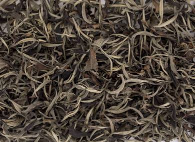 Таиландский белый чай из Майтанга, старые ассамские деревья, Tea Forest Project, февраль 2023