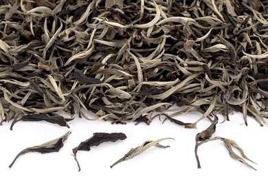 Таиландский белый чай из Майтанга старые ассамские деревья Tea Forest Project февраль 2023