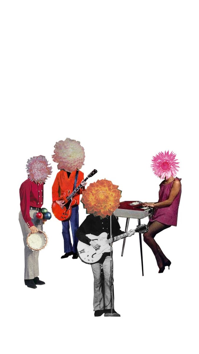 Концерт "Салон растений"/24 декабря/ЧАЙНЫЙ КЛУБ МОЙЧАЙ.РУ НА БАКУНИНСКОЙ, Москва