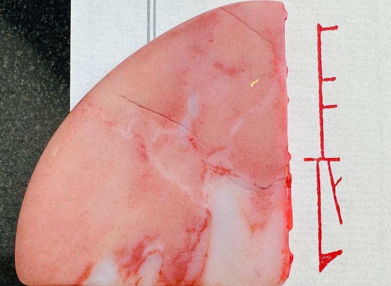 Печать 長 # 48838, агальматолит