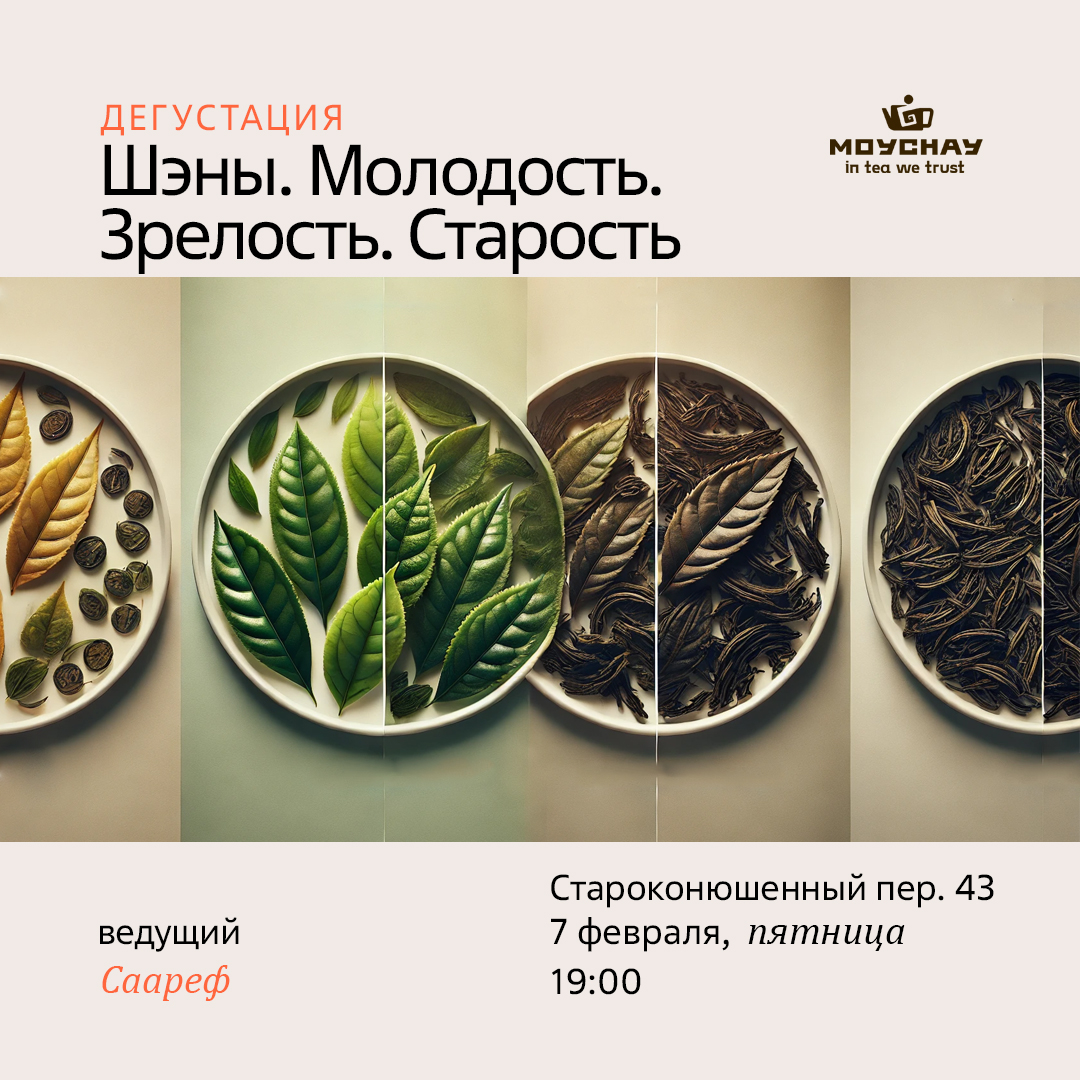 Дегустация "Шэны. Молодость. Зрелость. Старость"/7 февраля/ЧАЙНЫЙ КЛУБ МОЙЧАЙ.РУ АРБАТ