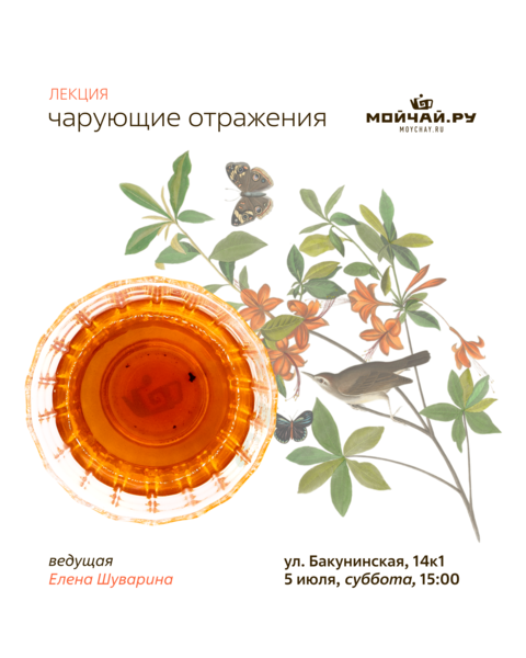 Лекция "Чарующие отражения"/5 июля/ЧАЙНЫЙ КЛУБ МОЙЧАЙ.РУ НА БАКУНИНСКОЙ, Москва