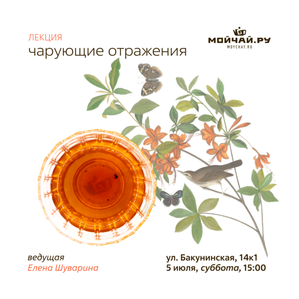 Лекция "Чарующие отражения"/5 июля/ЧАЙНЫЙ КЛУБ МОЙЧАЙ.РУ НА БАКУНИНСКОЙ, Москва