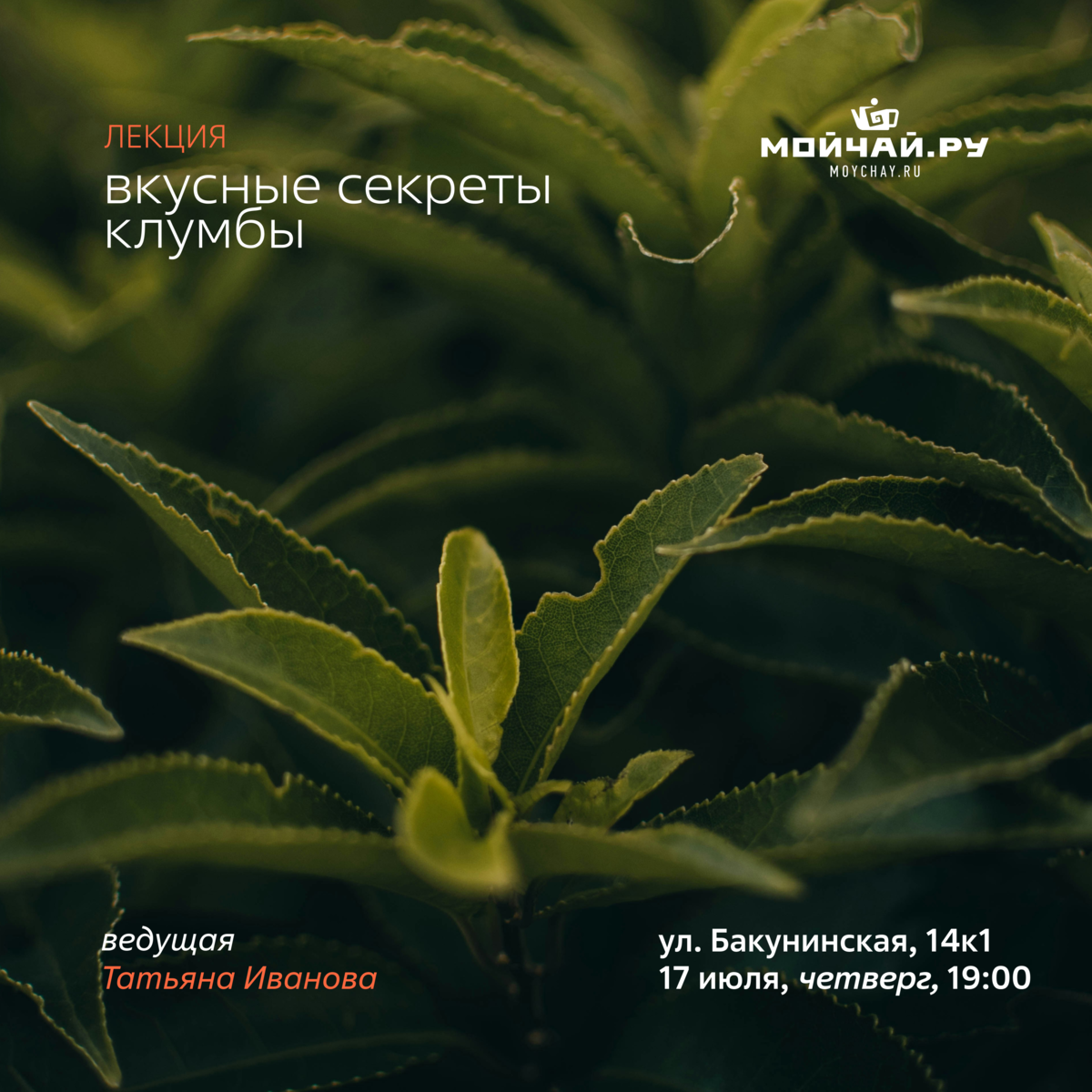17 июля/Лекция  "Вкусные секреты клумбы" /ЧАЙНЫЙ КЛУБ МОЙЧАЙ.РУ НА БАКУНИНСКОЙ, Москва